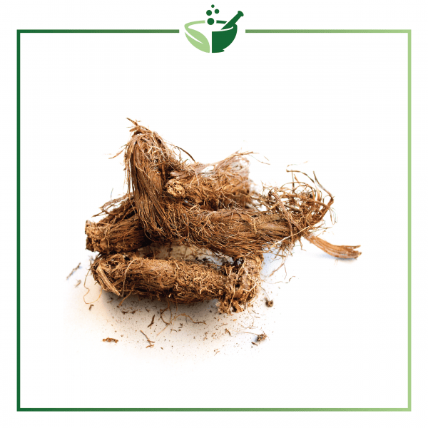 Spikenard Essential Oil-01